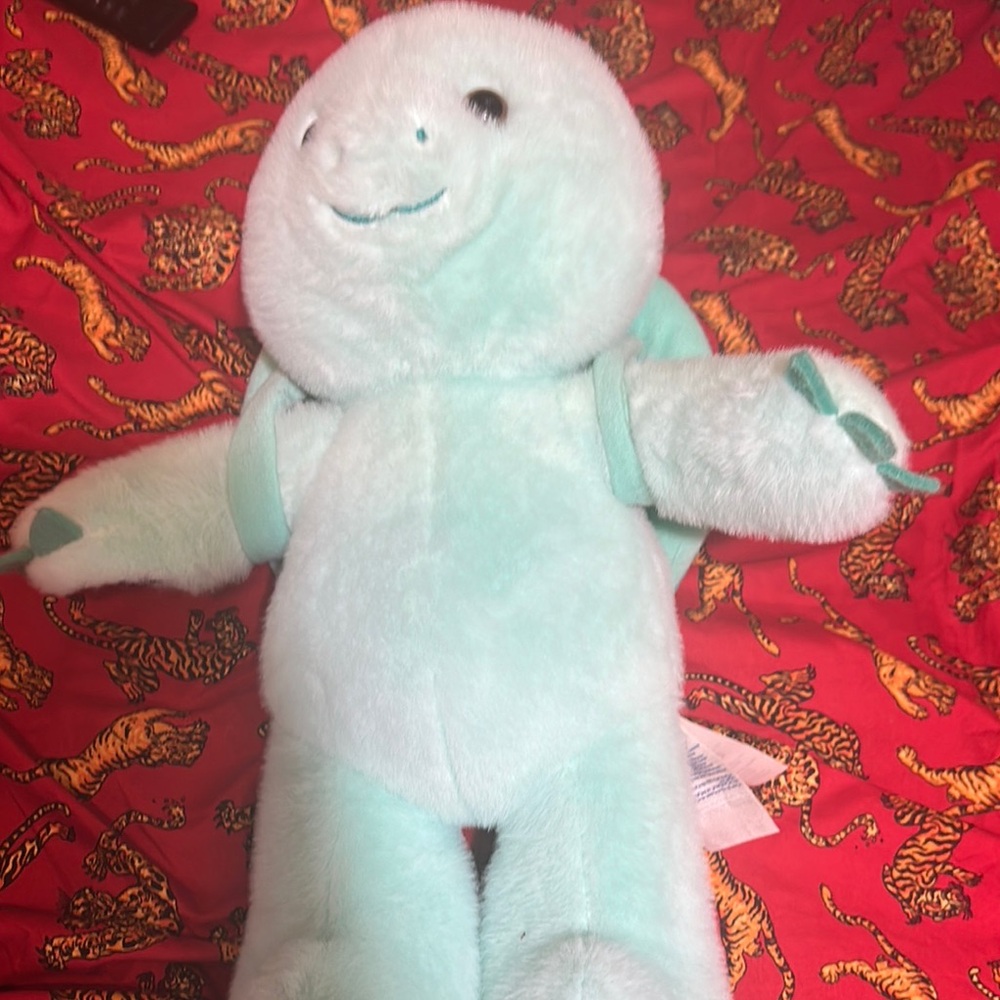 Aqua Plush Turtle Toy